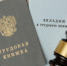 Минтруд: печать в трудовой книжке не нужна - Федерация организаций профсоюзов