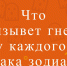 Что больше всего бесит каждый из 12 знаков Зодиака - Oren.ru