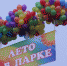 Проект «Лето в парке» продолжается - Time56.Ru