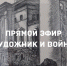 Прямой эфир из серии «Экскурсовод на дому» на официальной странице Instagram музея. - Музей ИЗО