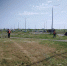 В Оренбурге продолжается борьба с сорной и карантинной растительностью - Администрация г. Оренбург