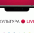 Портал «Культура.LIVE» расскажет о жизни и творчестве известных людей Оренбуржья - ГТРК