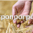 Минсельхоз области продлил прием заявок на грантовую поддержку «Агропрогресс» - Министерство сельского хозяйства