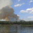 Под Оренбургом в районе пос. Чкалов тушат пожар в лесополосе - Ria56.Ru