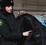 Таможенники задержали партию контрафактной одежды известных брендов - Time56.Ru