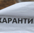 Оренбуржцам советуют не покупать мясо в Башкирии из-за африканской чумы свиней - Ria56.Ru