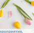 В Оренбуржье пройдут акции в честь 8 Марта - Правительство Оренбургской области