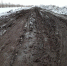 Орловка оказалась отрезана от федеральной трассы из-за распутицы - Orenburg.Media