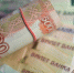 Замглавы Минтруда заверила, что все средства на соцвыплаты будут сохранены - Министерство физкультуры и спорта