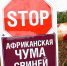 В Бузулукском районе животные погибли от африканской чумы свиней - Газета Оренбуржье