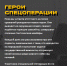 Проект «Герои операции Z» рассказывает о мужестве российских солдат на Украине - Ria56.Ru