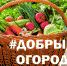 Оренбуржцы могут принять участие во Всероссийской акции #ДОБРЫЙ ОГОРОД - Правительство Оренбургской области