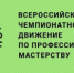 В Оренбуржье стартует региональный этап Чемпионата по профессиональному мастерству «Профессионалы» - Правительство Оренбургской области