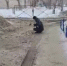 «Издевательство над людьми»: В Оренбурге дворник вооружился топором для борьбы с гололедом - Orenburg-news.net