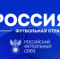 Завершен Региональный этап четвёртого сезона конкурса «Россия – футбольная страна» - Областной футбольный союз
