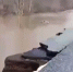 В Оренбуржье вода смыла дорогу в Алабайтал - Orenburg.Media