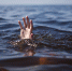 В Оренбуржье два человека погибли в водоёмах - Time56.Ru