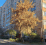 В посёлке Строителей Орска отключат тепло - Orenburg.Media