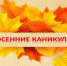 Образовательные учреждения региона проводят мероприятия в дни осенних каникул - Правительство Оренбургской области