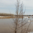Шугоход и забереги. Что происходит на реках Оренбуржья - Orenburg.Media
