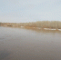 Тёплый ноябрь не пускает морозы в Оренбуржье - Orenburg.Media