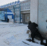 Вооруженная банда захватила предприятие: в Оренбуржье прошли учения оперштаба - ProOren.Ru