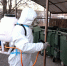 В Оренбурге мусорные площадки обрабатывают от крыс - Газета Оренбуржье
