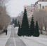 В Оренбурге продолжают устанавливать новогодние елки - Администрация города
