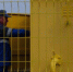 В Оренбуржье СНТ попали в региональную программу социальной газификации - Orenburg.Sm-News.Ru