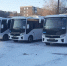 350 новых автобусов появились в Оренбуржье с 2022 года - Yuzh-Ural.Ru