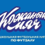 Итоги межрегионального этапа «Кожаный мяч – ШФЛ» - Областной футбольный союз