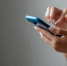 Заблокирован Telegram-канал с информацией о терактах в Оренбурге - Газета Оренбуржье
