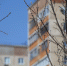 Погода на 4 апреля: в Оренбуржье без осадков и до +13°C - Газета Оренбуржье