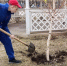 b_253_183_16777215_00_images_stories_2025_04_09.04_1.jpg - Президентское кадетское училище