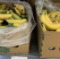 В Оренбурге килограмм бананов за неделю подорожал почти на 25 процентов - Yuzh-Ural.Ru