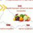 В Оренбуржье изъли из оброта 3,5 тонны плодоовощной продукции - Time56.Ru