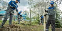 Оренбургские газодобытчики принимают участие во всероссийском экомарафоне «Зеленая Весна» - Ria56.Ru