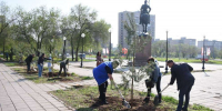 В Оренбурге возле Дома Памяти высадят «Тополь Победы» - ProOren.Ru