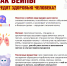 Предлагаем дать учителям право изымать вейпы у школьников - Справедливая Россия