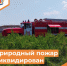 200 кв м природного пожара ликвидированы - Департамент пожарной безопасности и гражданской защиты