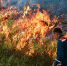Особый противопожарный режим: какие штрафы ждут нарушителей в Оренбуржье? - ProOren.Ru
