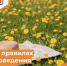 О правилах поведения в жару - Департамент пожарной безопасности и гражданской защиты