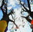24 августа в Оренбуржье воздух раскалится до +33°C - Газета Оренбуржье