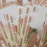 Оренбуржец заплатит за драку на дороге: судебные приставы взыскали 250 тысяч рублей за тяжкий вред здоровью - Комсомольская Правда