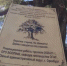Накануне Дня города публикуем несколько интересных фактов из истории Оренбурга - Администрация города