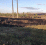 В Гайском округе горели 600 гектар сухой травы - Orenburg.Media