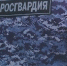 Росгвардейцы задержали мужчину находящегося в федеральном розыске - Time56.Ru