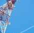 Связь 4G появилась еще в 33 малых населенных пунктах Оренбуржья - Комсомольская Правда