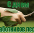 С наступающим днем леса! - Рослесозащита Оренбургской области
