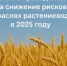 Объявление о проведении отбора на снижение рисков в подотраслях растениеводства в 2025 году - Министерство сельского хозяйства